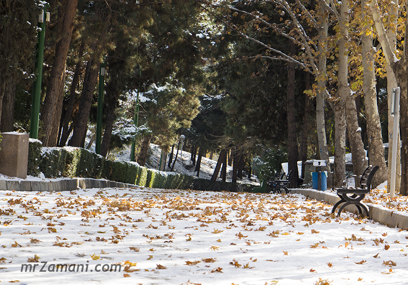 اولین برف سال 95 تهران