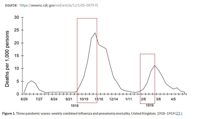 شیوع آنفلانزا در سال 1918 و 1919 در ارویا و امریکا - مثالی برای نام گذاری بازاریابی ویروسی